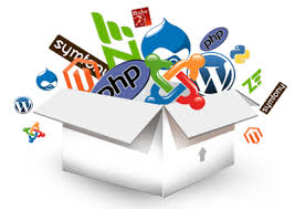 Software Development